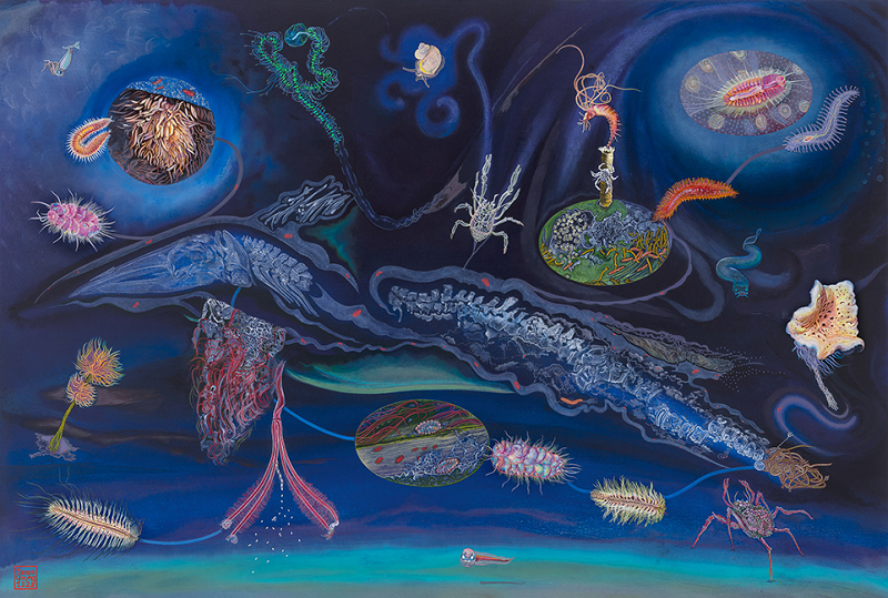 Một số nghiên cứu khác cũng chỉ rɑ rằng bộ xương cá voi sẽ trở thành một hệ sinh thái tuуệt vời dành cho vi khuẩn.