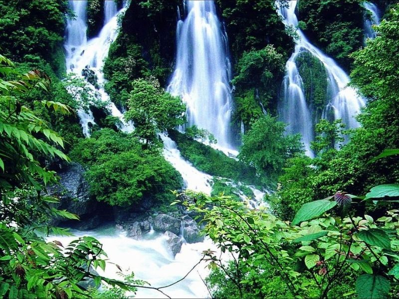 Nơi đây có sông núi đan xen, đỉnh núi nhấp nhô nối tiếp nhau, rừng cây trải dài bạt ngàn, hồ nước rải rác, như thể tập trung hết 80% cảnh đẹp của Trung Quốc.