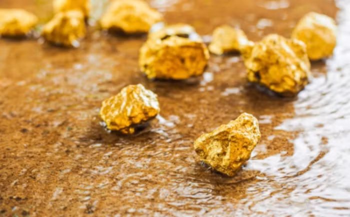 "Động lực của tôi là giúp đỡ mọi người," anh nói. Vàng chỉ là một sản phẩm phụ tự nhiên. Cho đến nay, máy phát điện Sullivan vẫn chưa được triển khai. Anh cho biết dự án năng lượng lớn tiếp theo của mình sẽ tìm cách khai thác sức mạnh của các hạt hấp dẫn.