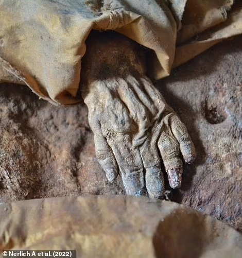 Bên cạnh đó, việc xác định niên đại bằng cacbon phóng xạ đã giúp nhóm các nhà khoa học xác định chính xác thời điểm em bé này khi còn sống.