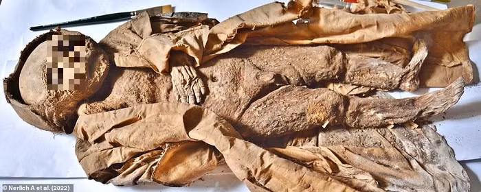  Xác ướp bé trai 1 tuổi này được tìm thấy ở thành phố Hellmonsödt (Áo) trong một chiếc quan tài bằng gỗ được chôn cất bên trong hầm mộ dành cho các Bá tước dòng họ Starhemberg - một trong những gia đình quý tộc lâu đời nhất ở Đức.