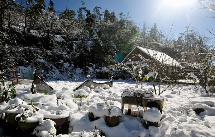 Tùy vào một số thời điểm, du khách đến Sa Pa sẽ có cảm giác thích thú vì lần đầu tiên được chạm vào tuyết, chơi các trò chơi trên tuyết… mọi thứ tưởng chừng chỉ có ở vùng xứ lạnh.