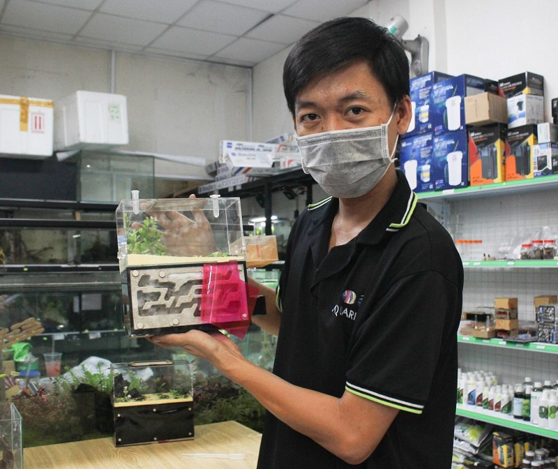 Tháng 8/2019, anh Nhựt tìm được một tổ kiến trong gốc cây rồi mang về để vào bể thủy sinh cho tự sinh sản. Lúc đó anh còn chưa biết đến cộng đồng chơi kiến.