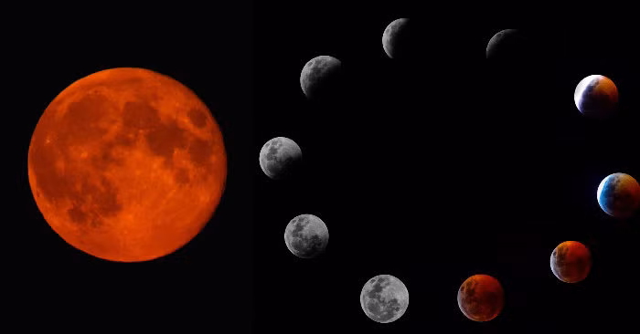 Không giống như nhật thực, nguyệt thực có thể quan sát bằng mắt thường, thú vị hơn nữa nếu có ống nhòm hay kính thiên văn. Người quan sát nên chọn khu vực thoáng đãng, ít ánh sáng đèn và ô nhiễm không khí. Lưu ý xem dự báo thời tiết nếu quan sát.