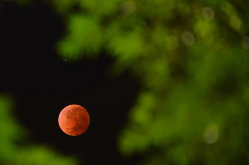 Lần nguyệt thực toàn phần này có thể quan sát trên toàn lãnh thổ Việt Nam. Tại Hà Nội, mặt trăng mọc lúc 17h12 phút, tại TP HCM, mặt trăng mọc lúc 17h22 phút.