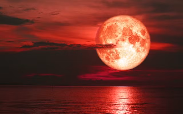 Về lý thuyết, các khu vực trên cả nước có thể quan sát toàn bộ pha toàn phần. Tuy nhiên thời điểm này, Mặt Trăng mới mọc nên khó quan sát. Thời điểm quan sát rõ nhất ở nước ta từ 18h00, khi nguyệt thực đạt cực đại.