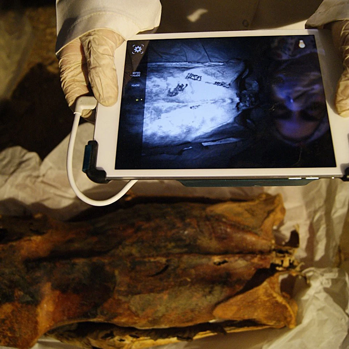 Họ cũng tin rằng hình xăm ở lưng dưới xuất hiện đầu tiên như một cách để bảo vệ khỏi những nỗi đau của phụ nữ. Một đầm lầy dọc theo bờ sông Nile có thể là một nơi lý tưởng để phụ nữ Ai Cập đến trong thời kỳ họ mang thai hoặc hành kinh. Có khả năng những người phụ nữ cổ đại ở Ai Cập xăm hình thánh địa ở lưng dưới của họ nhằm mang lại một số sức mạnh cho bất cứ nơi nào họ đến.