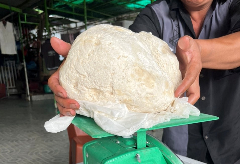 Cách đây 10 ngày, khi đánh cá cách bờ biển Quảng Trị khoảng 90 hải lý, những thuyền viên trên tàu ông Quân tình cờ thấy một vật màu trắng, nổi trên mặt nước nên vớt lên.