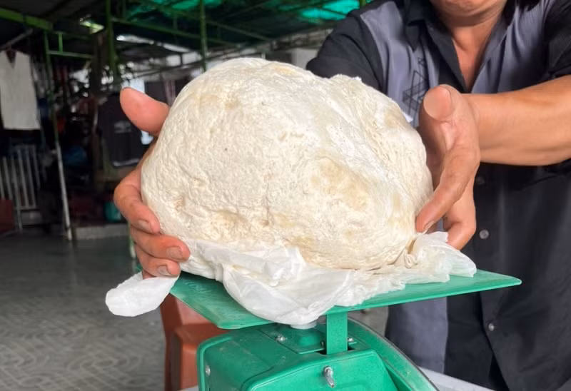 Cách đây 10 ngày, khi đánh cá cách bờ biển Quảng Trị khoảng 90 hải lý, những thuyền viên trên tàu ông Quân tình cờ thấy một vật màu trắng, nổi trên mặt nước nên vớt lên.