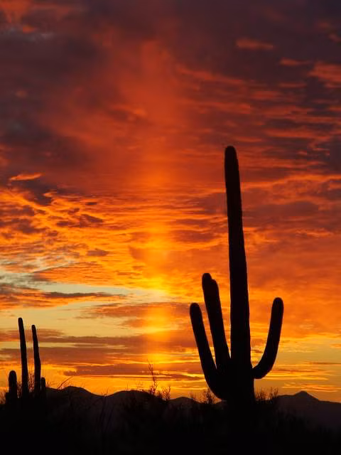 "Từ kinh nghiệm bản thân khi sống ở Colorado, cột ánh sáng có thể xuất hiện 1-2 lần trong mùa đông. Ban đêm càng lạnh, cơ hội thấy cột ánh sáng càng cao", O'Brien chia sẻ