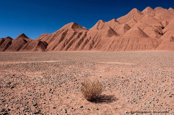 Do sa mạc Atacama nằm ở khu vực khuất gió của vùng bờ biển Chile nên khí hậu ở đây vô cùng khô hạn, cùng với sự kết hợp của dòng thổi ngoài khơi lạnh đã khiến các hạt sương bị tan vỡ trước khi tiếp cận bề mặt sa mạc.