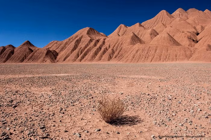 Do sa mạc Atacama nằm ở khu vực khuất gió của vùng bờ biển Chile nên khí hậu ở đây vô cùng khô hạn, cùng với sự kết hợp của dòng thổi ngoài khơi lạnh đã khiến các hạt sương bị tan vỡ trước khi tiếp cận bề mặt sa mạc.