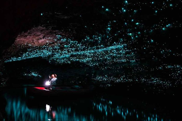  4. Hang động Waitomo Glowworm: Hang động Waitomo Glowworm nằm tại thị trấn Waitomo thuộc vùng đảo Bắc New Zealand. Vẻ đẹp độc đáo của Waitomo Glowworm là hang động này có thể phát ra ánh sáng kỳ lạ khiến du khách cứ ngỡ như đang lơ lửng giữa muôn vì sao.