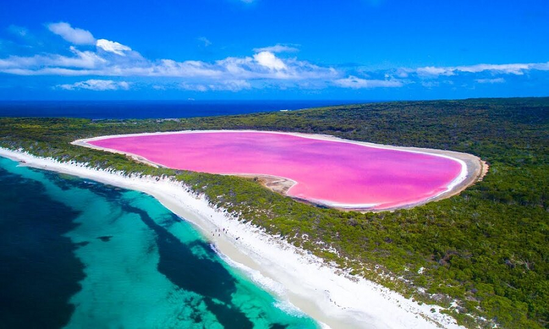 Hồ Hillier là một hồ nước màu hồng ở Đảo Middle, bao quanh là đại dương mênh mông và là đảo lớn nhất trong số những hòn đảo tạo thành Quần Đảo Recherche ngoài khơi Esperance. Hồ dài khoảng 600 mét, bao quanh là bờ cát và khu rừng rậm Paperbark và bạch đàn rậm rạp. Về vị tri thì hồ bị chia tách với vùng biển phía Nam bởi một dải đất hẹp gồm những đụn cát có cây che phủ.