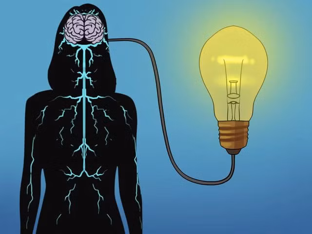  2. Bộ não của bạn sản xuất đủ điện để thắp sáng một bóng đèn nhỏ: Bộ não của chúng ta có khoảng 100 tỷ tế bào được gọi là tế bào thần kinh. Khi chúng ta di chuyển, nhìn, suy nghĩ, mơ hoặc cười cũng là khi các tín hiệu điện và hóa chất đang chạy đua giữa hàng tỷ tế bào thần kinh trên xa lộ thần kinh này.