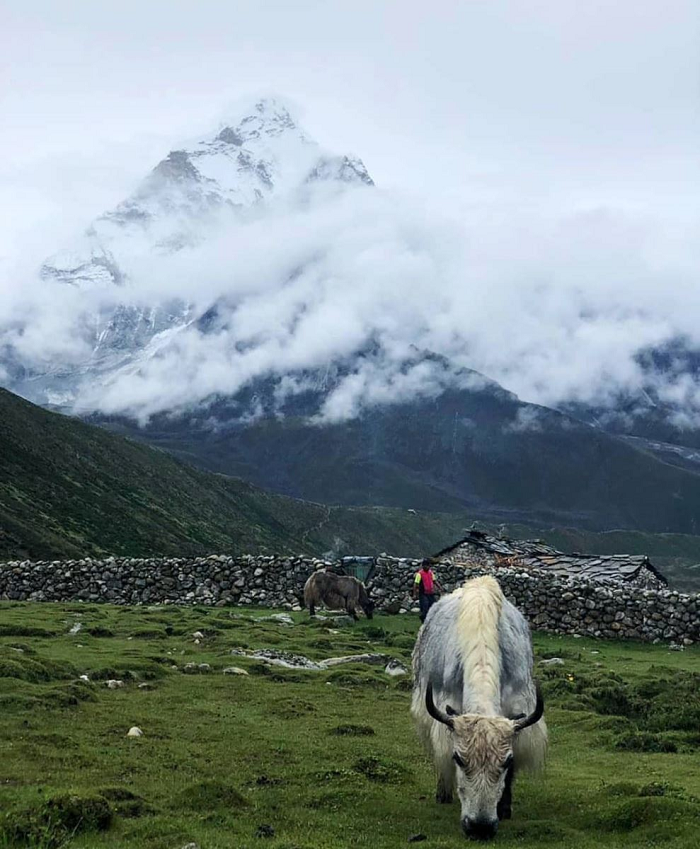 Theo các nhà nghiên cứu, người Tây Tạng kế thừa khả năng đặc biệt từ người Denisova đã tuyệt chủng. Người Denisova từng tồn tại xung quanh khu vực mà người Tây Tạng sinh sống.