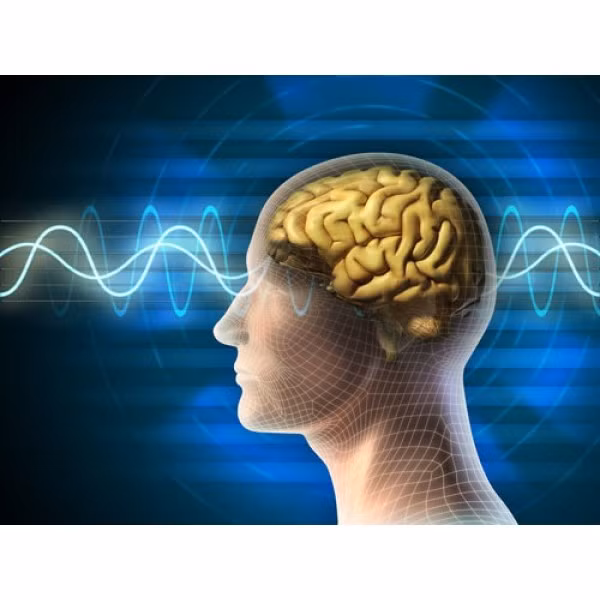 Vì vậy, mặc dù một tế bào thần kinh tạo ra một lượng điện rất nhỏ, nhưng tất cả chúng gộp lại cùng lúc có thể tạo ra đủ điện để thắp sáng một bóng đèn có công suất thấp.