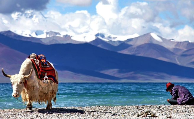Thông thường, khi một người lên đến độ cao 3 km, nồng độ hemoglobin trong máu sẽ tăng lên. Gene EPAS1 hạn chế mức độ tăng của nồng độ hemoglobin, nhờ đó ngăn chặn những vấn đề về tim mà người khác thường mắc phải.
