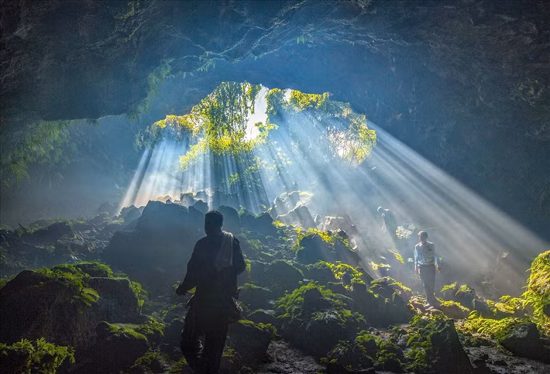 Bà Tôn Thị Ngọc Hạnh, Phó Chủ tịch UBND tỉnh Đắk Nông, Trưởng Ban Quản lý Công viên địa chất toàn cầu UNESCO Đắk Nông cho biết, hệ thống hang động trong đá bazan được phát hiện từ năm 2007 và phân bố chủ yếu ở khu vực Krông Nô.