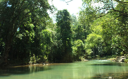 Nguồn gốc của những con vật hoang dã đều từ người dân tự nguyện giao nộp trong thời gian qua và đã được cứu hộ tại Trạm cứu hộ động vật hoang dã Củ Chi. Sau khi tiếp nhận, các nhân viên của đơn vị đã chăm sóc, phục hồi sức khỏe, tâm lý và tập tính tự nhiên cho các con vật.