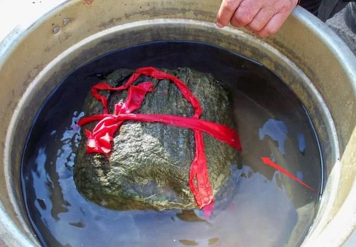 Tần Thủy Hoàng luôn ám ảnh làm sao để có thể đạt được trường sinh bất tử nên đã không ngại làm những điều kỳ quái, trong đó có việc cho người đi tìm kiếm linh chi Thái Tuế. Nhưng cho đến khi qua đời, ông vẫn chưa có được cái gọi là thuốc trường sinh.