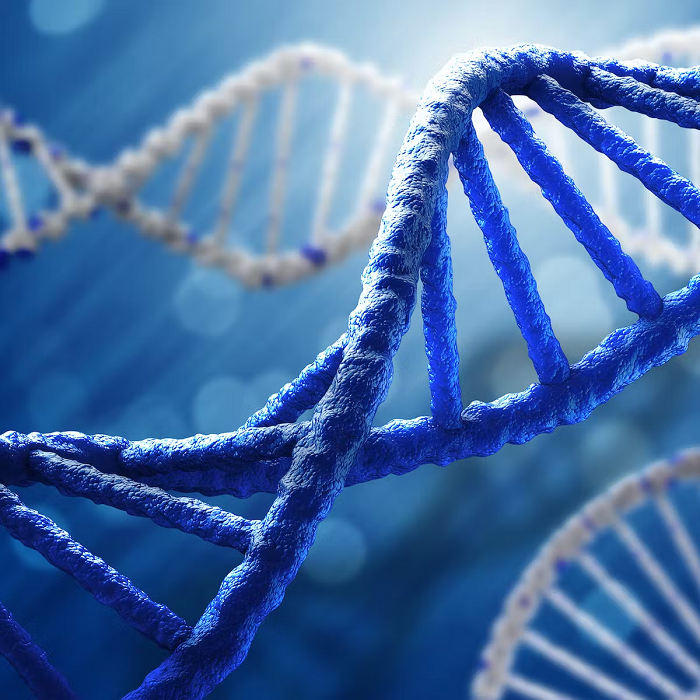 Điều này chỉ kết thúc khi Watson và Crick công bố mô hình xoắn kép của DNA vào năm 1953. Mô hình này khiến cho các nhà sinh học bắt đầu hiểu làm thế nào một phân tử đơn giản như DNA lại có thể lưu trữ những thông tin di truyền lớn tới vậy.