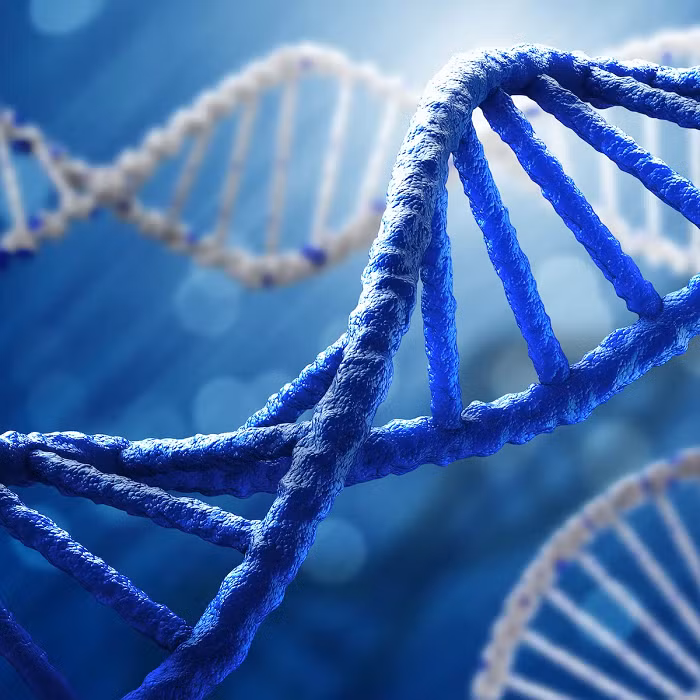 Điều này chỉ kết thúc khi Watson và Crick công bố mô hình xoắn kép của DNA vào năm 1953. Mô hình này khiến cho các nhà sinh học bắt đầu hiểu làm thế nào một phân tử đơn giản như DNA lại có thể lưu trữ những thông tin di truyền lớn tới vậy.