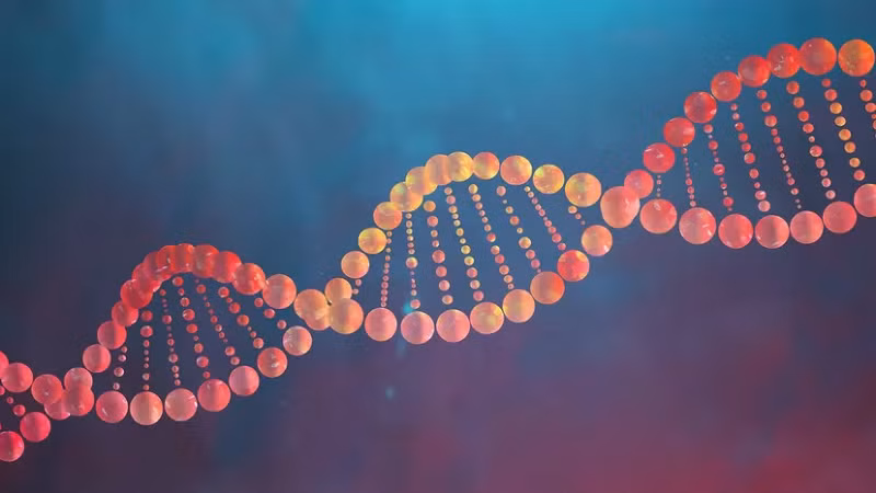  2. DNA không hề quan trọng: DNA được phát hiện vào năm 1869 nhưng trong suốt một thời gian dài trước đó, vai trò của DNA đã bị các nhà khoa học bỏ quên.