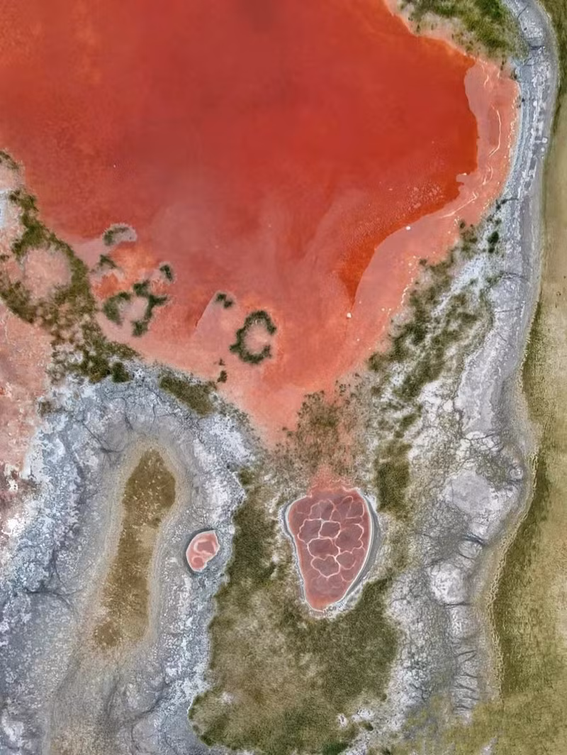 Thứ ba là do 3 loại vi sinh vật có trong nước hồ. Chúng là Artemia, Dunaliella salina và vi khuẩn halophilic, chính các hoạt chất như astaxanthin, carotenoid,… của chúng đã "nhuộm" nước hồ thành màu đỏ như vậy. Ngoài ra, hồ Ô Lan có nồng độ muối và kim loại cao. Muối đóng thành từng dải trắng dài chạy trên mặt hồ.