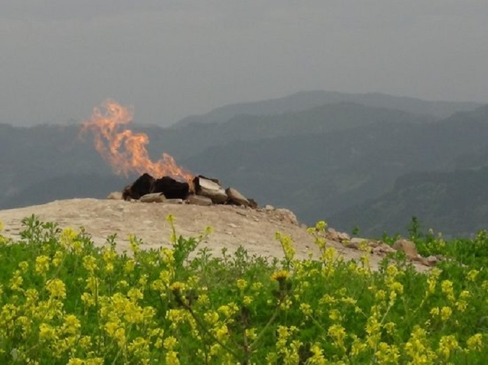 Mặc dù nhỏ nhưng Monte Busca không phải là ngọn núi lửa nhỏ nhất thế giới. Núi lửa nhỏ nhất thế giới nằm trong một khu rừng ở Colombia, cao chưa đến 3cm.