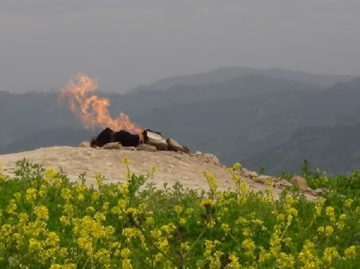 Mặc dù nhỏ nhưng Monte Busca không phải là ngọn núi lửa nhỏ nhất thế giới. Núi lửa nhỏ nhất thế giới nằm trong một khu rừng ở Colombia, cao chưa đến 3cm.