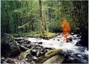 Chủ nhân tấm hình ghê rợn này khẳng định: vào thời điểm bấm máy không hề có ánh sáng mặt trời chiếu thẳng vào ống kính, do đó không thể xảy ra hiệu ứng lóe sáng thấu kính để tạo nên bóng đỏ được. Vả lại, cái bóng hiển hiện ngay chính giữa bức ảnh, dáng dấp như một hình người.