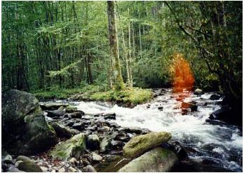 Chủ nhân tấm hình ghê rợn này khẳng định: vào thời điểm bấm máy không hề có ánh sáng mặt trời chiếu thẳng vào ống kính, do đó không thể xảy ra hiệu ứng lóe sáng thấu kính để tạo nên bóng đỏ được. Vả lại, cái bóng hiển hiện ngay chính giữa bức ảnh, dáng dấp như một hình người.