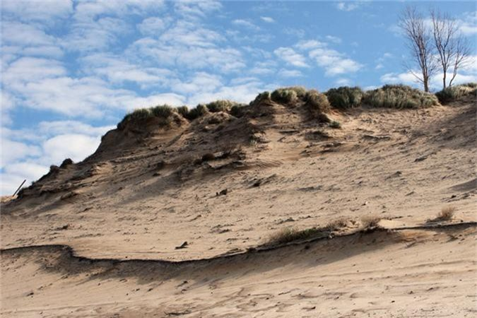 Erin cho rằng trong quá trình dịch chuyển, đụn cát đã lấp khá nhiều cây. Những cây đó thối rứa bên dưới cát và giải phóng khí. Hố xuất hiện vì khí thoát ra ngoài từ bên dưới. Người ta từng khai thác Baldy để lấy cát cho hoạt động sản xuất kính. Vì thế rất có thể hoạt động khai thác là nguyên nhân khiến các hố hình thành.