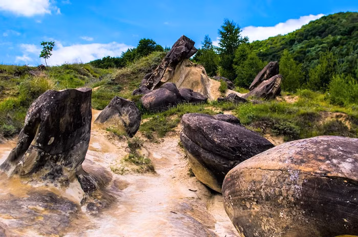 Loại đá “sống”, được gọi là Trovant này, là một hiện tượng địa chất kỳ thú, được phát hiện trong khu vực ngôi làng nhỏ Costesti của Romania. Nó là một từ đồng nghĩa với thuật ngữ tiếng Đức “Sandsteinkonkretionen”, có nghĩa là Cát kết dính.