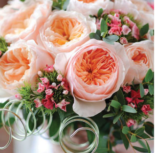 Tuy nhiên, sau khi được thương mại hóa thì giá của chúng đã rẻ hơn nhiều. Dẫu vậy, chúng vẫn có giá trị rất cao và là một trong những loài hoa hồng đắt nhất trên thế giới.