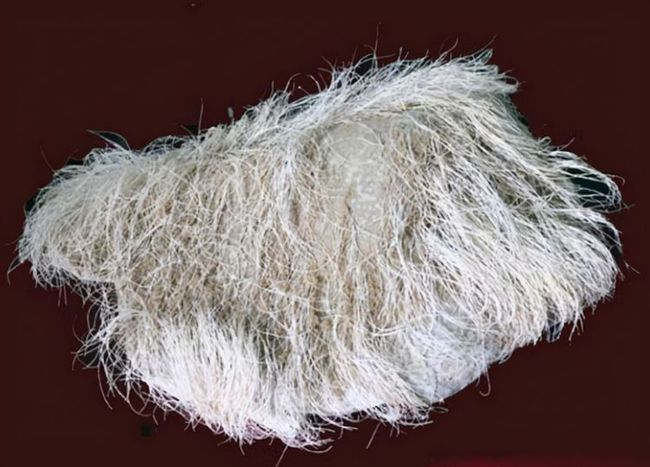 Sau nhiều ngày, những sợi tóc càng trở nên cứng hơn nên dân làng quyết định mời các chuyên gia đến xem xét. Con trai của người nông dân này vội vàng mang viên đá đến Viện nghiên cứu của tỉnh Liêu Ninh, mong các chuyên gia có thể giải đáp được các thắc mắc của dân làng. Sau đó, người ta mang mẫu tóc đến phòng thí nghiệm để kiểm tra.