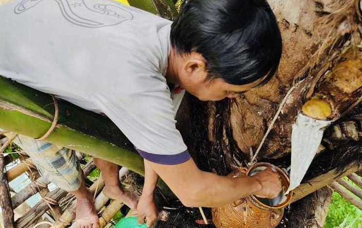 Rượu đoác đã trở thành món đồ uống không thể thiếu mang đậm bản sắc văn hóa nơi núi rừng Tây Nguyên đại ngàn. Vào những ngày hội lớn, dịp lễ, Tết, cưới hỏi cũng như trong đời sống thường nhật, rượu Đoác luôn có sẵn trên bàn của mỗi gia đình xã Ngọc Tem.