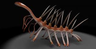 Đây là loài được đặt tên một cách khéo léo, một dạng sống kỳ lạ từng đi lang thang trên hành tinh của chúng ta. Nó trông giống như là một đứa "con lai" giữa một cặp răng lược và một con sâu có dải chân dài, sinh vật cổ đại này ngày nay thực sự là tác phẩm của một nghệ sĩ siêu thực điên rồ nào đó.