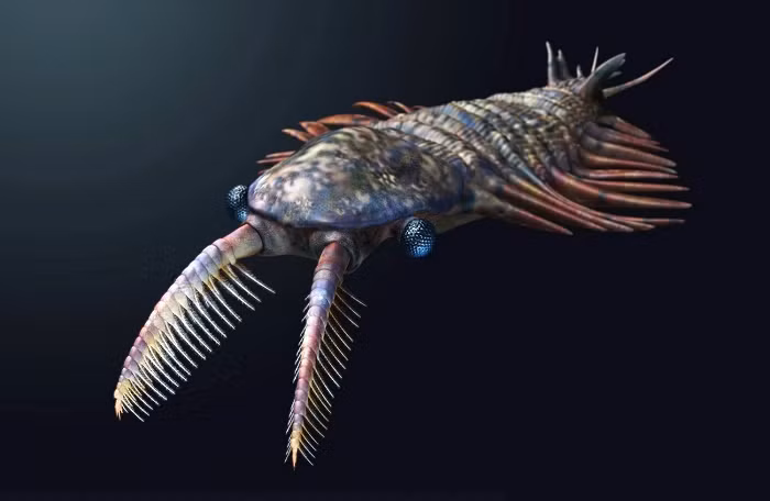 Rõ ràng, Tamiscolaris đã tiến hóa từ một dị thường "apex predator" dạng dị thường để đáp ứng với những thay đổi về điều kiện sinh thái làm cho nguồn thực phẩm đa dạng phong phú hơn.