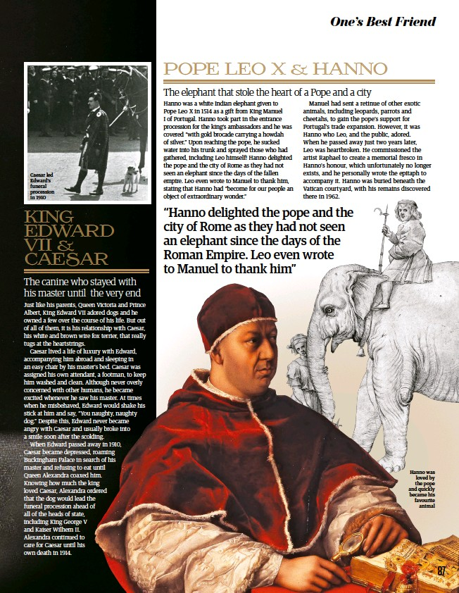 Thậm chí nhiều nghệ sĩ và nhà văn đã tổ chức lễ kỷ niệm voi trên các phương tiện truyền thông khác nhau. Hơn nữa, một bức tranh tường khổng lồ về con voi này cũng đã được đặt tại lối vào của Vatican bởi Giáo hoàng Leo. Đáng buồn là bức tranh tuyệt vời này sau đó đã bị phá hủy.