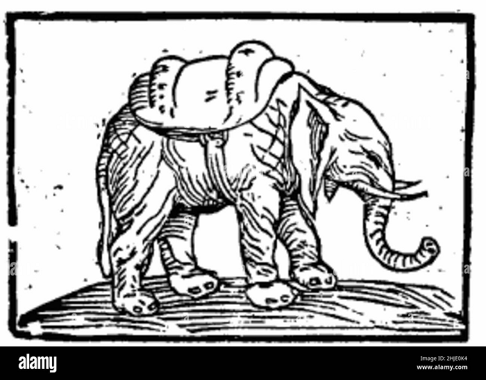 Vua Manuel I của Bồ Đào Nha đã tặng Hanno cho Giáo hoàng Leo X. Lúc đó Hanno chỉ cao khoảng 4 feet (1,2 mét) và mới bốn tuổi. Khi Hanno được mang tới, nó đã đi ngang qua Rome từ cảng Hercules, vì vậy đã có hàng ngàn người đến để xem một con vật to lớn như vậy khi nó đi qua các đường phố.