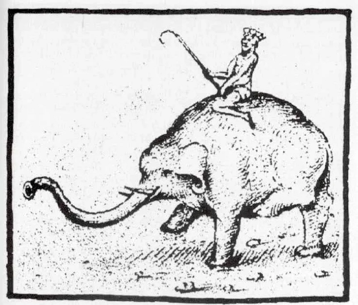 Bộ sưu tập của Thư viện Vatican, nơi các nhà nghiên cứu đã tìm kiếm bất cứ thứ gì để giải thích cho việc chôn cất kỳ lạ này. Họ phát hiện ra rằng những mảnh xương này thực sự thuộc về một con voi hiện đại, và đáng kinh ngạc là họ thậm chí còn có thể biết chính xác được rằng con voi này có tên gọi là "Hanno".