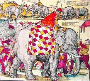 Tuy nhiên, chỉ sau hai năm ở Rome, năm 1516, Hanno đã qua đời vì chứng táo bón khi mới 7 tuổi. Mặc dù Giáo hoàng Leo X không phải là Giáo hoàng thành công nhất nhưng ông là một người giàu lòng nhân ái, và sau cái chết của Hanno, nó đã được chôn cất bên dưới sân trong của cung điện.