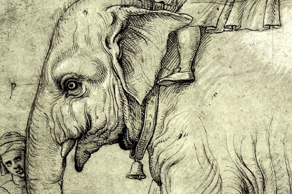 Năm 1997, ông công bố kết quả nghiên cứu của mình trên tạp chí "The Pope's Elephant", nơi mà trong số những thứ khác, ông có thể ghép nối các sự kiện dẫn đến một con voi sống ở Cortile del Belvedere ở Rome. Người ta đã xác định được rằng tên của con voi là "Hanno" hoặc "Annone", và nó thuộc về Giáo hoàng Leo X.