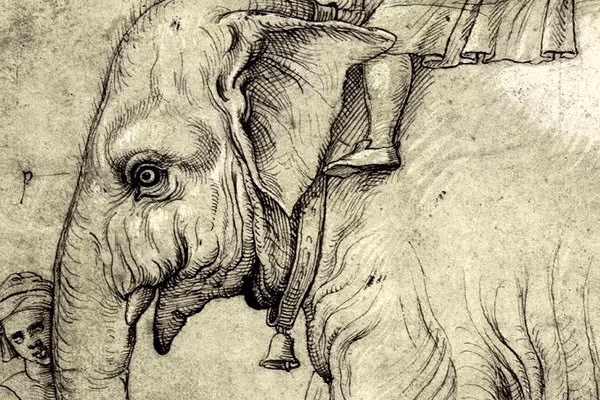 Năm 1997, ông công bố kết quả nghiên cứu của mình trên tạp chí "The Pope's Elephant", nơi mà trong số những thứ khác, ông có thể ghép nối các sự kiện dẫn đến một con voi sống ở Cortile del Belvedere ở Rome. Người ta đã xác định được rằng tên của con voi là "Hanno" hoặc "Annone", và nó thuộc về Giáo hoàng Leo X.