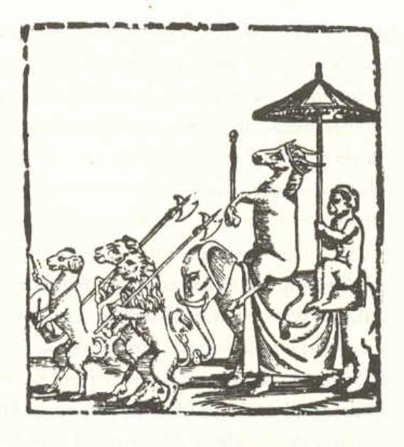 Tuy nhiên, con voi này không gây ra được nhiều sự chú ý, và cho đến những năm 1980, không ai hỏi về bộ xương voi được chôn bên dưới Vatican. Chỉ đến những năm 1990, lịch sử của con voi này mới được Silvio Bedini và sử gia Smithsonian làm sáng tỏ.