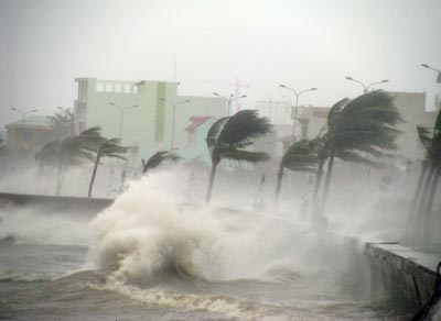 Trong trường hợp xấu nhất, khoảng 287 triệu người, tương đương 4% tổng dân số thế giới, có thể bị ảnh hưởng bởi lũ lụt vùng duyên hải. Tính thành tiền thì thảm họa toàn cầu này có thể gây thiệt hại 14 nghìn tỷ USD, tương đương 20% tổng giá trị GDP của thế giới.