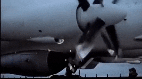 Vào 11h32, sau 2 giờ bay từ sân bay Olenia, máy bay ném bom Tu-95V cùng 9 thành viên phi hành đoàn, được máy bay/phòng thí nghiệm Tu-95A hộ tống , đã bay đển điểm cho trước và ném quả bom Sa hoàng từ độ cao 10,5 km.