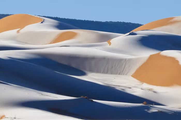  1. Tuyết rơi ở sa mạc Sahara: Đây là một trong những sự thật thú vị về các kỳ quan nổi tiếng thế giới. Hầu hết chúng ta đều nghĩ rằng sa mạc là nơi nóng nhất trên trái đất và tuyết là thứ không thể nhìn thấy ở đây. Nhưng sự thật lại không phải như bạn nghĩ. Tuyết từng rơi ở sa mạc và cảnh tượng này thậm chí có thể nhìn thấy từ ngoài không gian.